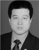 段治安