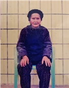 戴妹风
