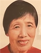 刘惠爽