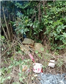 柯美冬