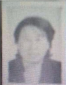 刘军