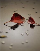黑白色的少年