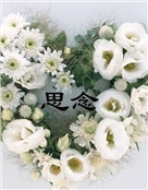 萍萍