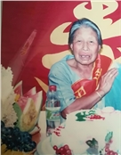 张显文