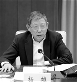 杨雄