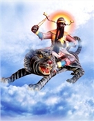 kingli8