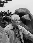 黄金锜