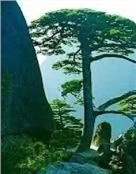 父亲傅兴汉