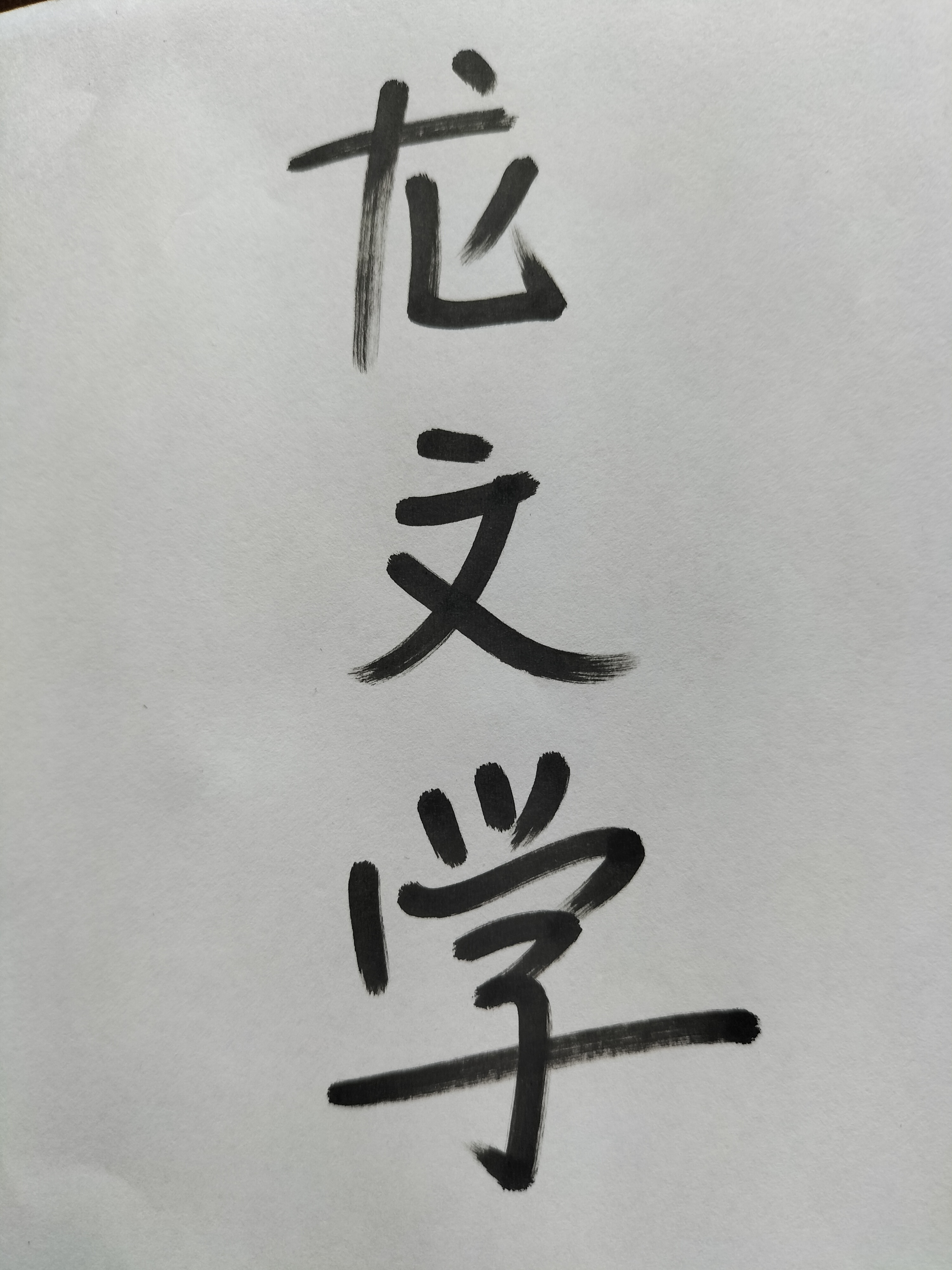 龙文学