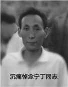 宁丁