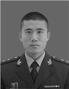 王龙