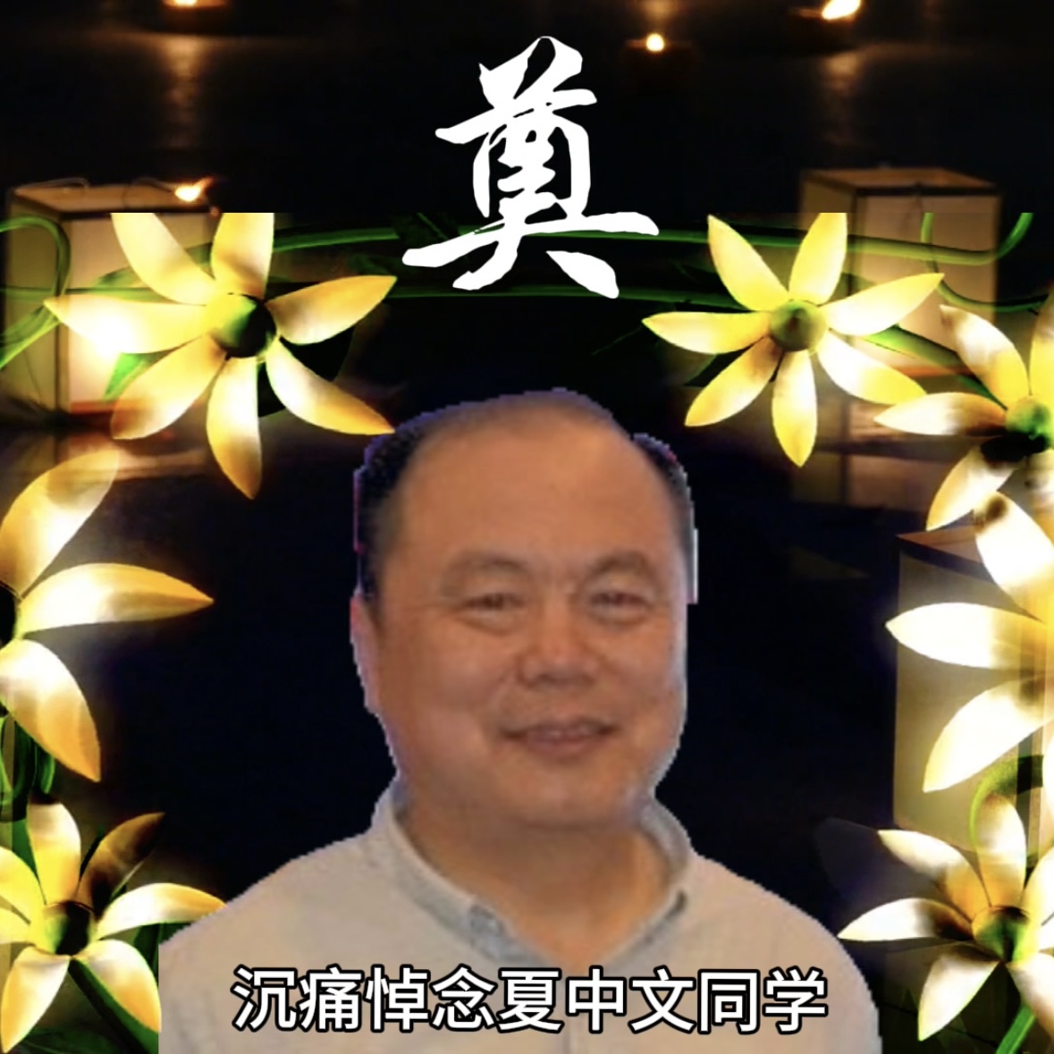夏中文