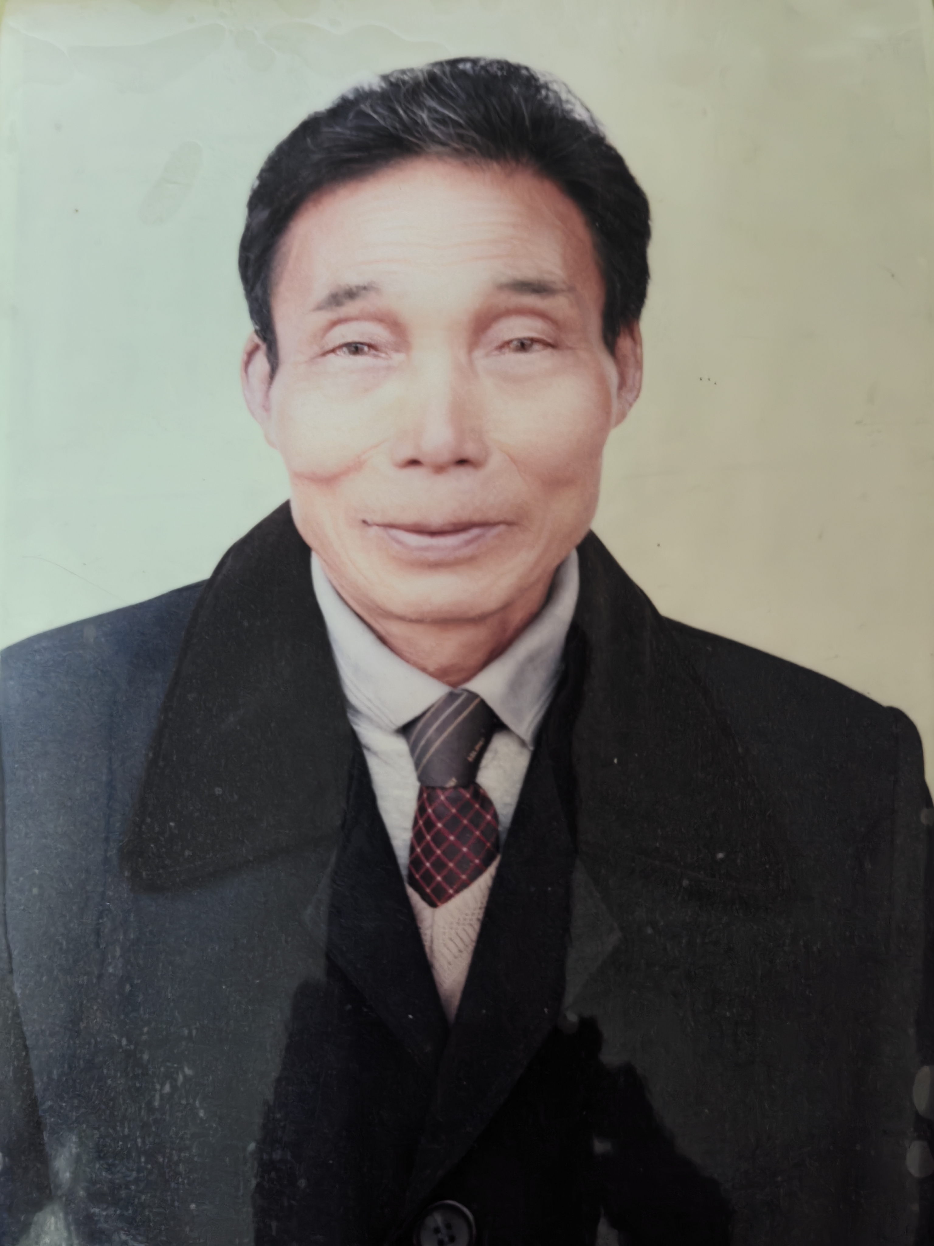 杨兰树
