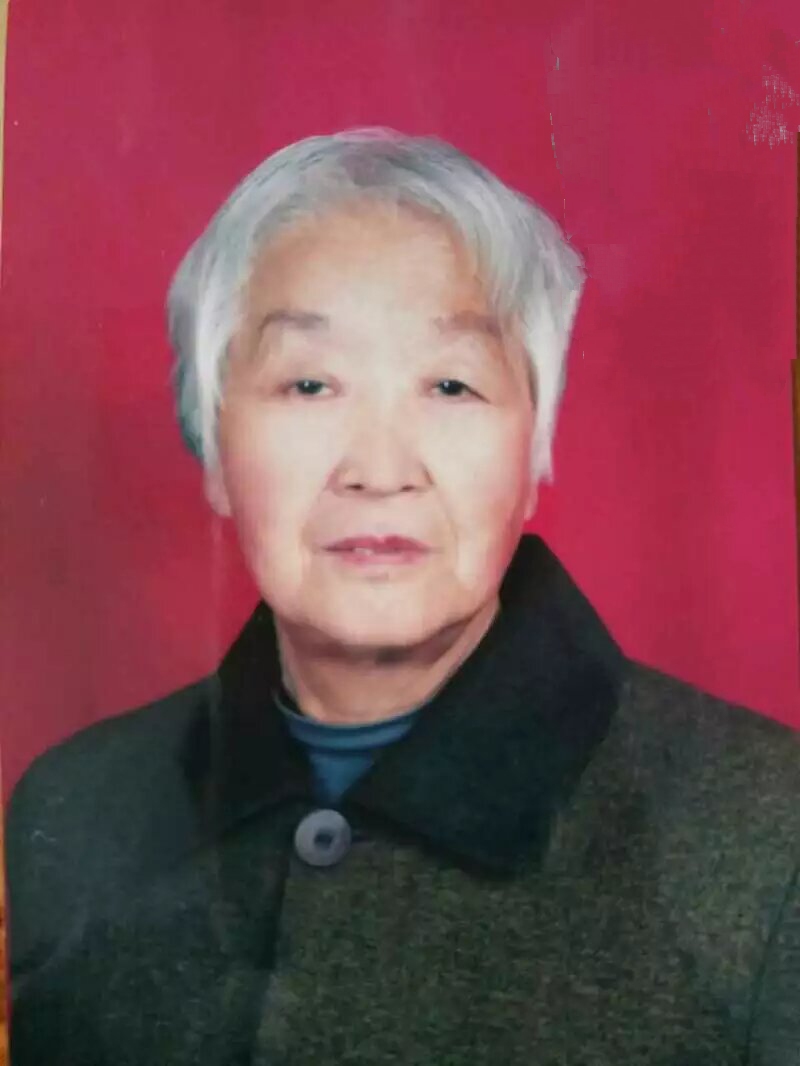 卢淑凤