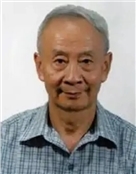 复旦大学文物与博物馆学系教授杨植震