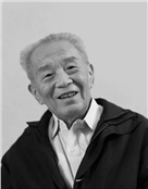 王炳华