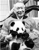 胡锦矗