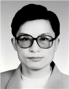 杨文全