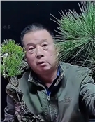 网红博主知名盆景大师“山泉浓茶”