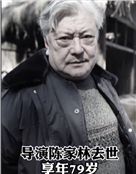 陈家林