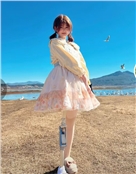 夏瑾禾