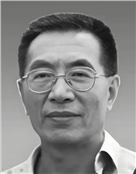 王沛民