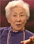 韦伟