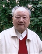 朱泽