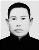 雷木发