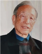谢辰生