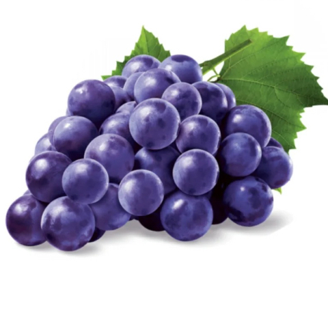 葡萄🍇