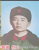 牛智强