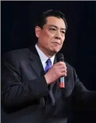 中国内地男演员张治中