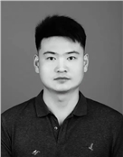 李杨