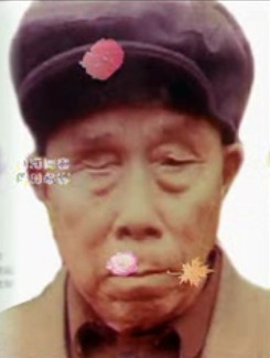 段振自