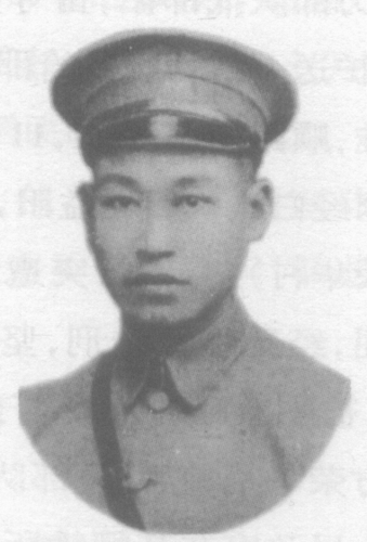 禹治