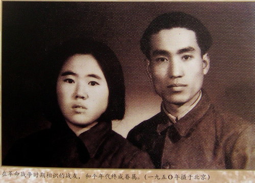 张桂芬