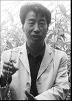 洪玉线