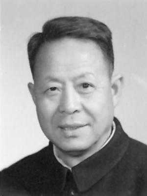 崔维嶽