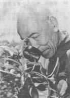 黄齐望