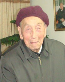 施雅风
