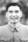 张再旺