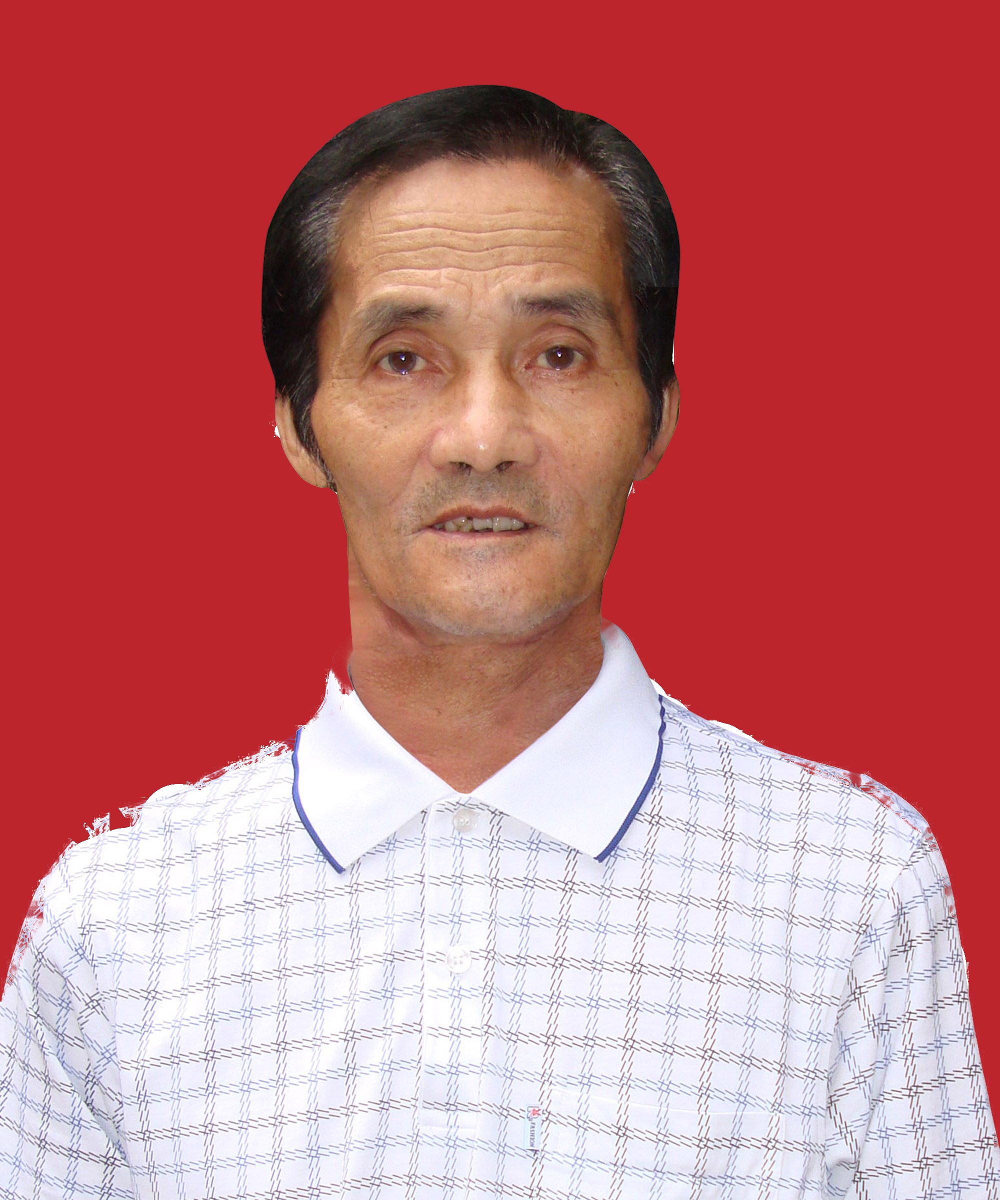 陈木善
