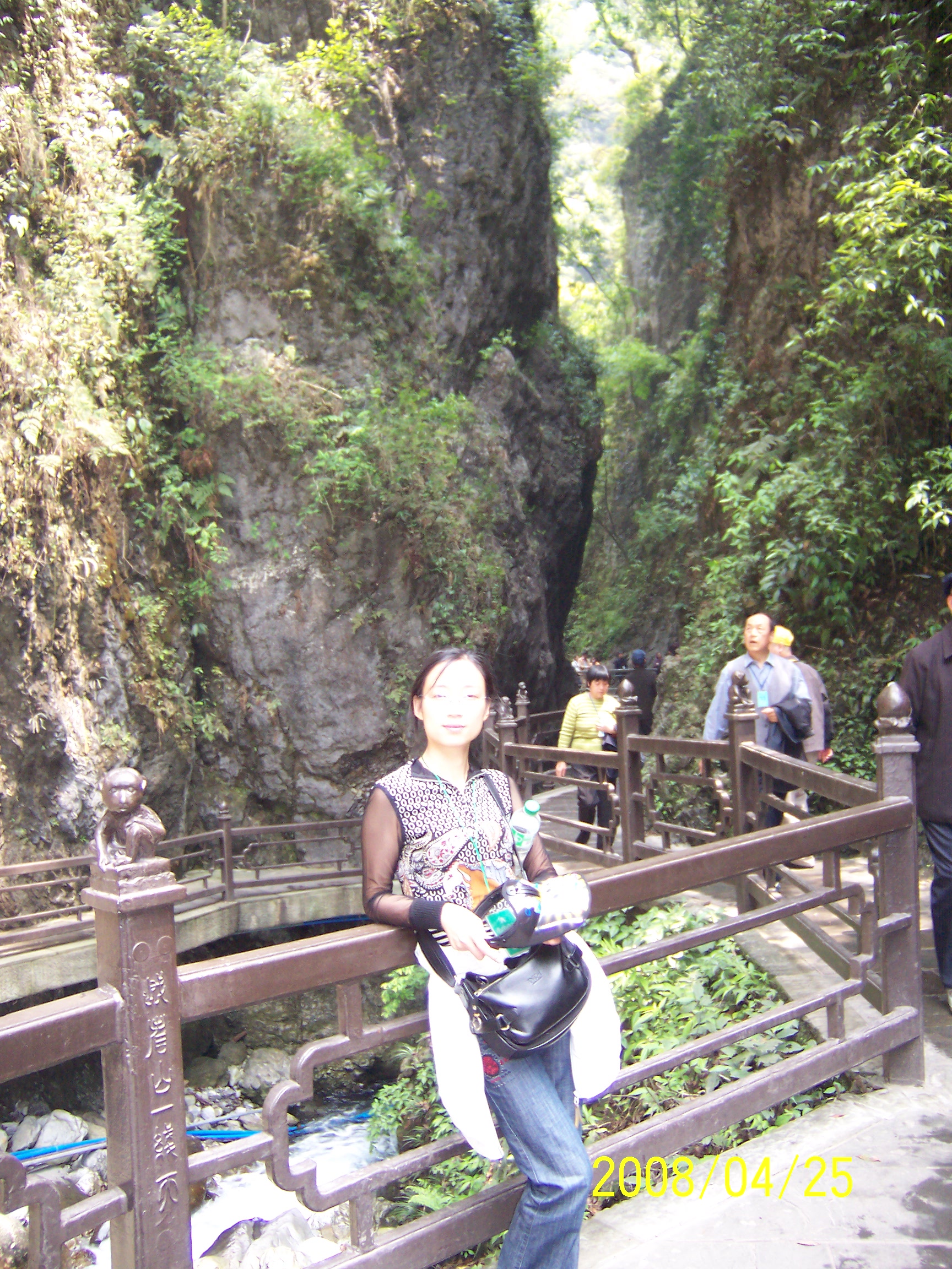 邹丽琴