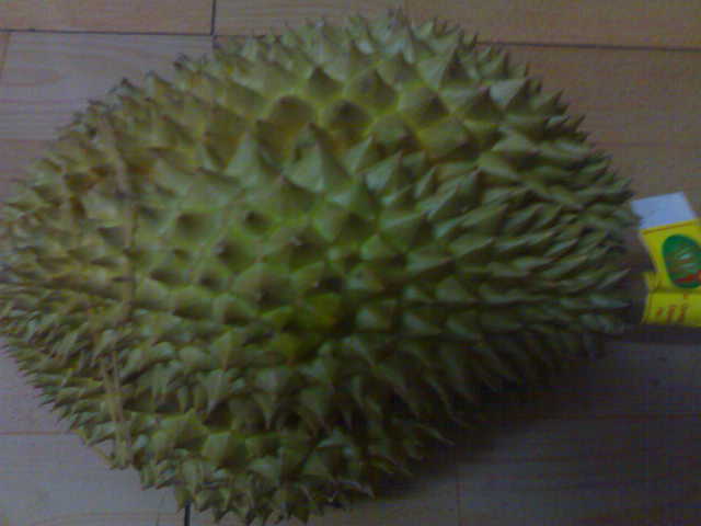 榴莲