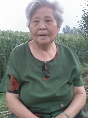 王淑兰