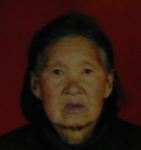 东海棠