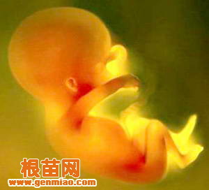 朱小宝