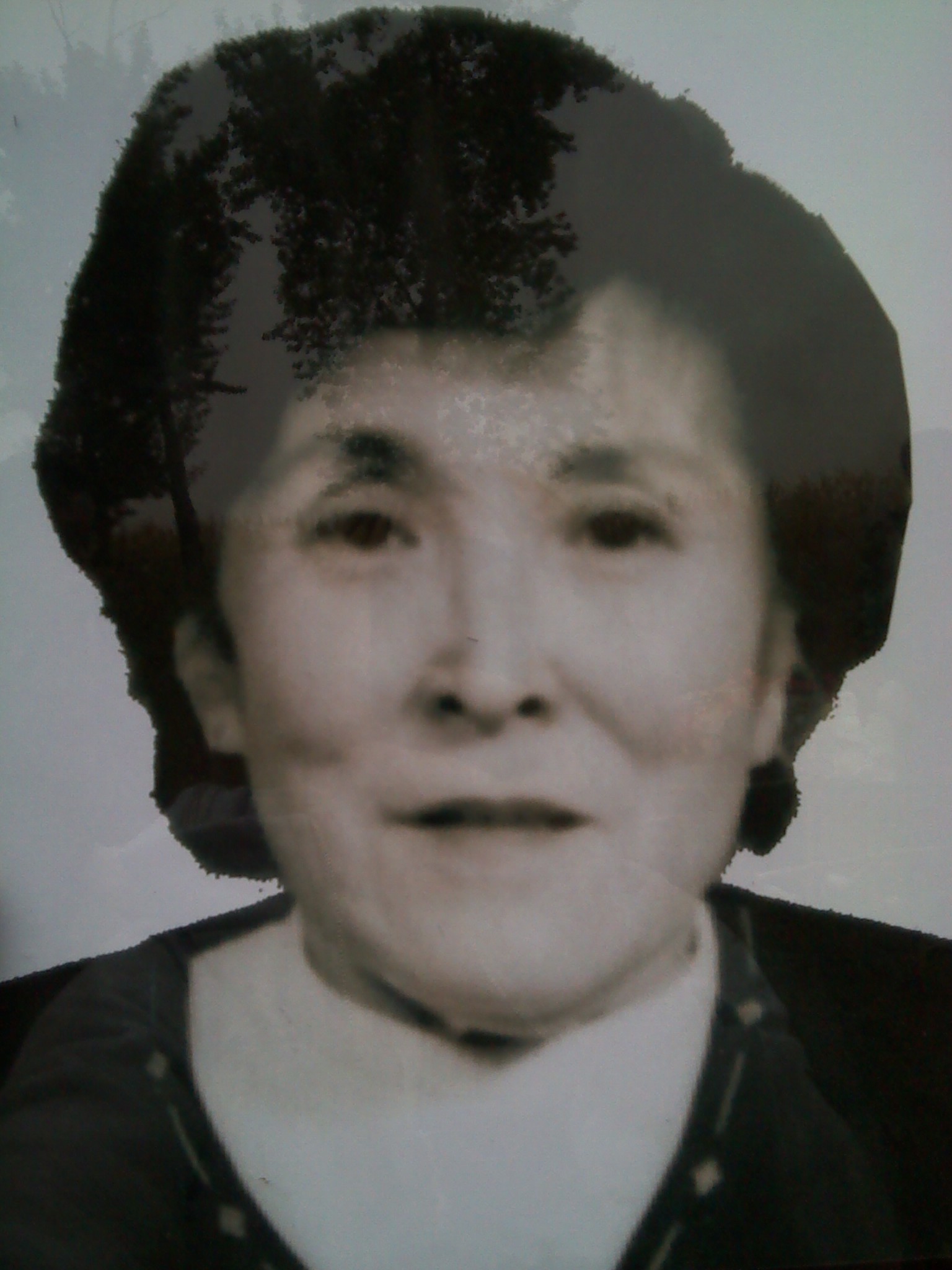 盆桂芝