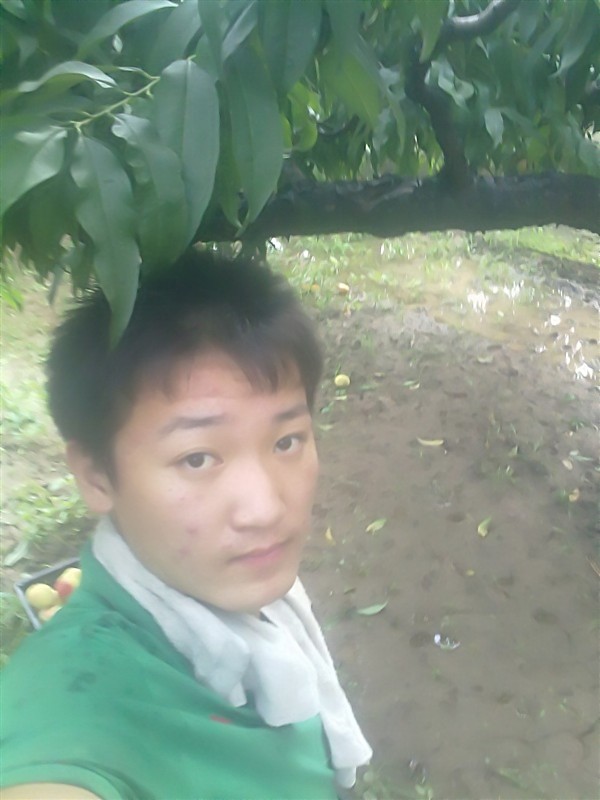 姚树